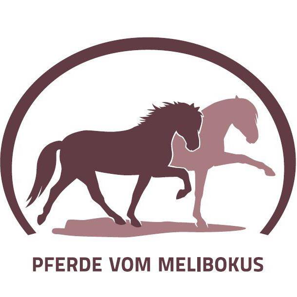 Keine Fotobeschreibung verfgbar.